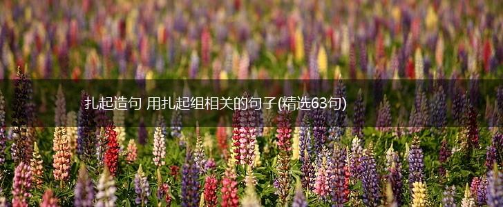 扎起造句 用扎起组相关的句子(精选63句),第1张