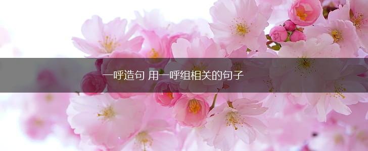 一呼造句 用一呼组相关的句子,第1张