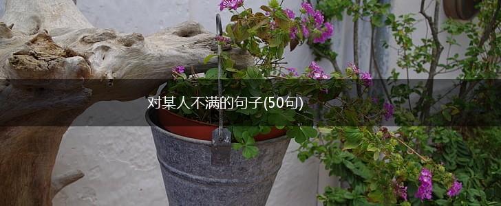 对某人不满的句子(50句),第1张