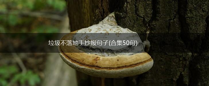 垃圾不落地手抄报句子(合集50句),第1张