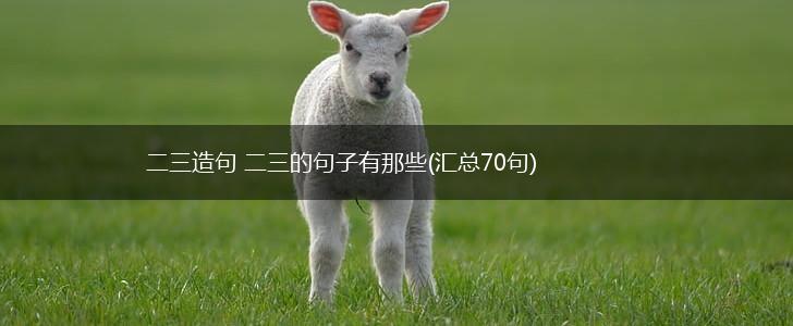 二三造句 二三的句子有那些(汇总70句),第1张
