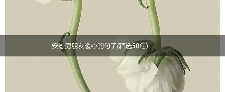 安慰男朋友暖心的句子(精选50句),第1张