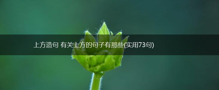 上方造句 有关上方的句子有那些(实用73句),第1张