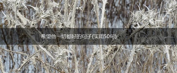 希望他一切都好的句子(实用50句),第1张