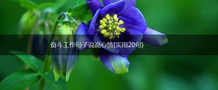奋斗工作句子说说心情(实用20句),第1张
