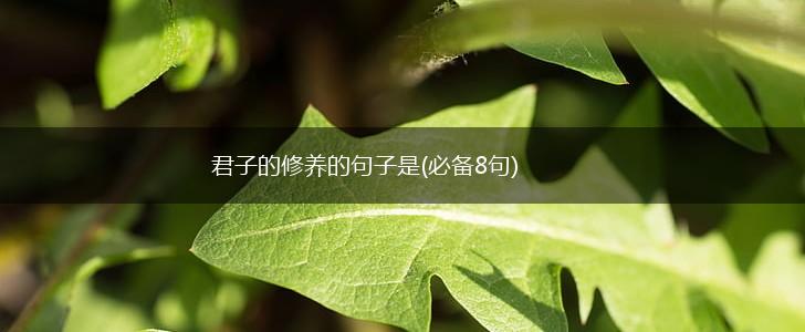 君子的修养的句子是(必备8句),第1张