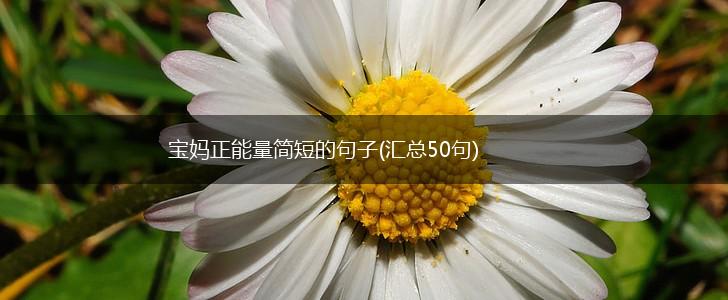 宝妈正能量简短的句子(汇总50句),第1张