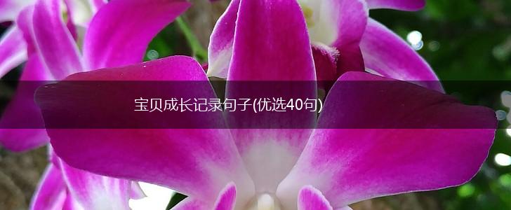 宝贝成长记录句子(优选40句),第1张