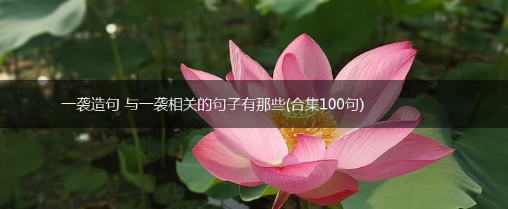 一袭造句 与一袭相关的句子有那些(合集100句),第1张