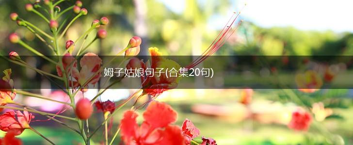 姆子姑娘句子(合集20句),第1张