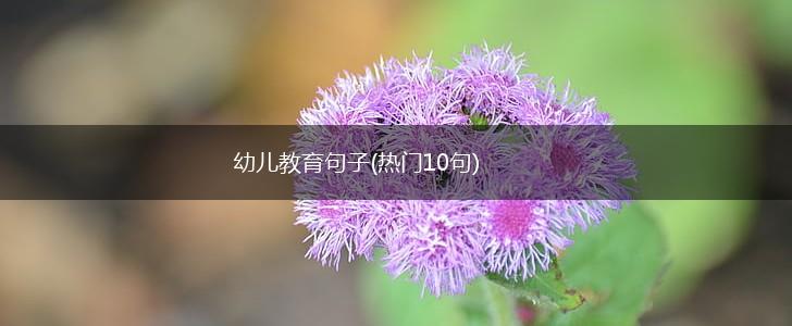 幼儿教育句子(热门10句),第1张