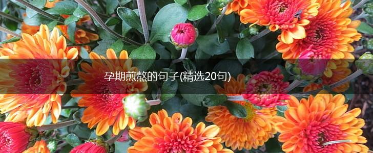 孕期煎熬的句子(精选20句),第1张