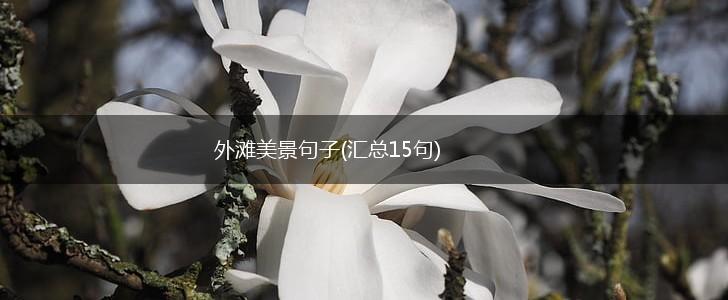 外滩美景句子(汇总15句),第1张