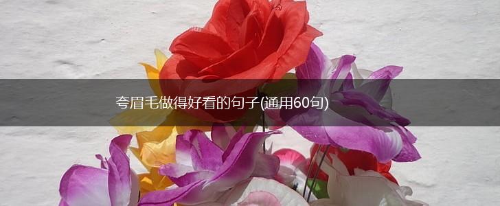 夸眉毛做得好看的句子(通用60句),第1张