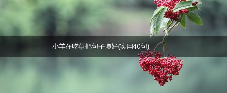 小羊在吃草把句子填好(实用40句),第1张