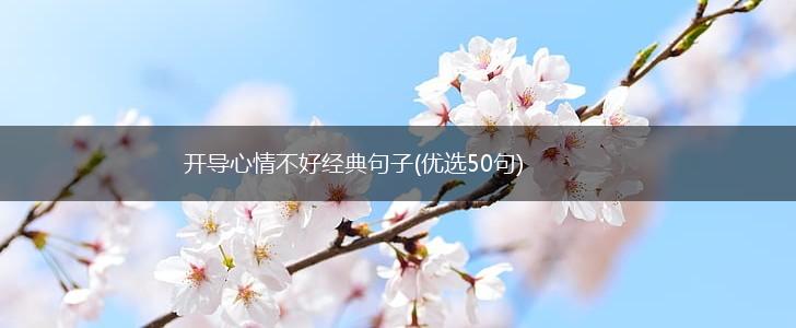 开导心情不好经典句子(优选50句),第1张