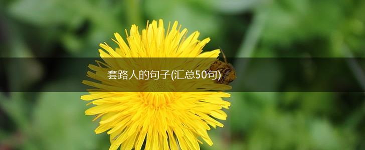 套路人的句子(汇总50句),第1张