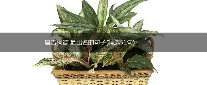 唐吉柯德 最出名的句子(精选51句),第1张