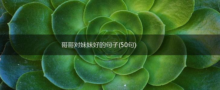 哥哥对妹妹好的句子(50句),第1张