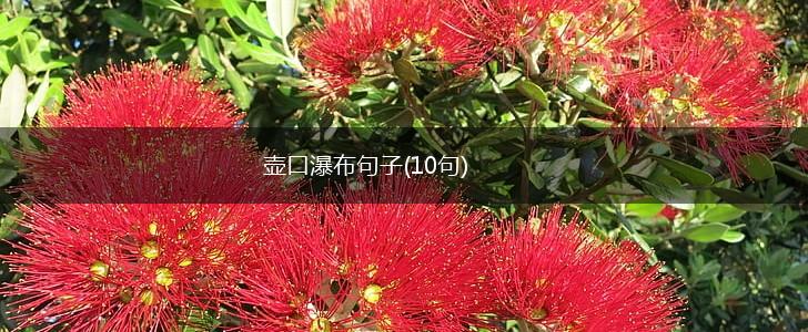 壶口瀑布句子(10句),第1张