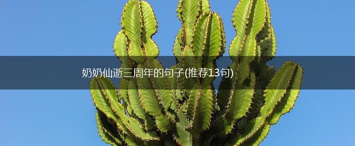 奶奶仙逝三周年的句子(推荐13句),第1张