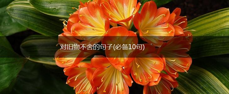 对旧物不舍的句子(必备10句),第1张