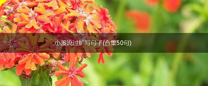 小溪流过扩写句子(合集50句),第1张