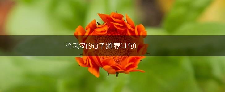 夸武汉的句子(推荐11句),第1张