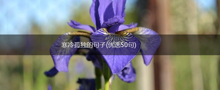 寒冷孤独的句子(优选50句),第1张