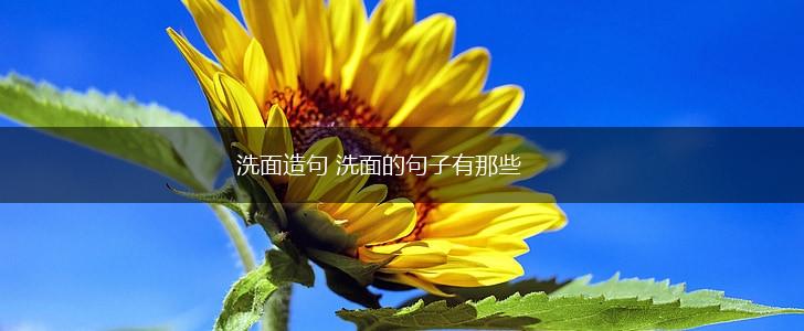 洗面造句 洗面的句子有那些,第1张
