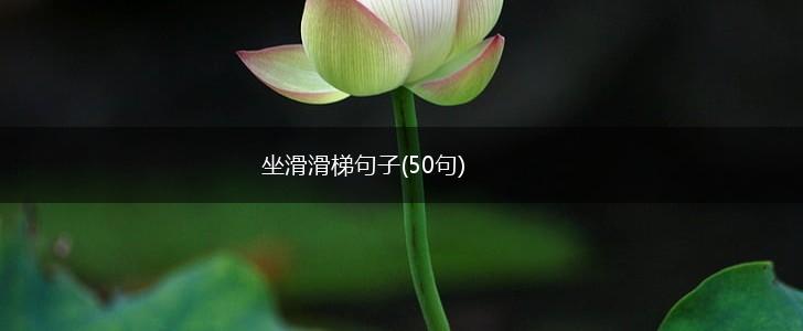 坐滑滑梯句子(50句),第1张