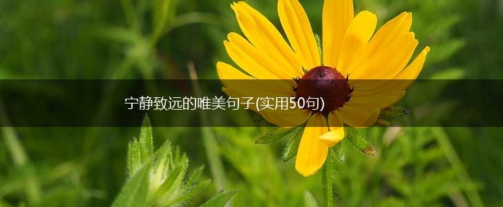 宁静致远的唯美句子(实用50句),第1张