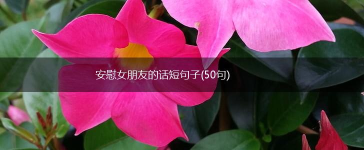 安慰女朋友的话短句子(50句),第1张