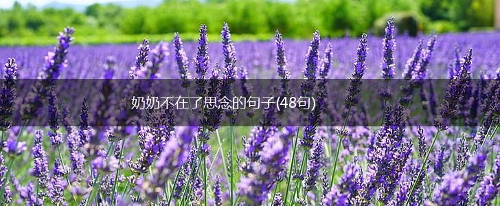 奶奶不在了思念的句子(48句),第1张