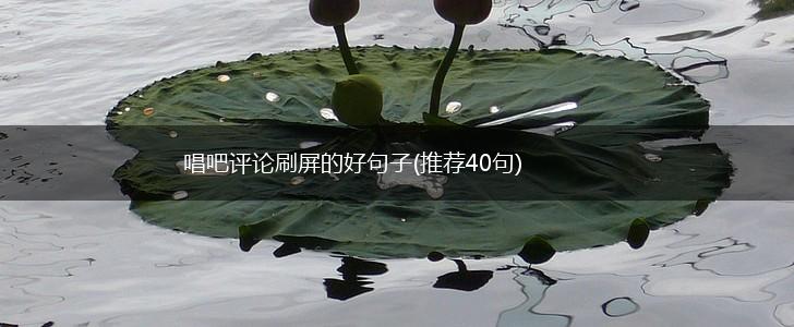 唱吧评论刷屏的好句子(推荐40句),第1张