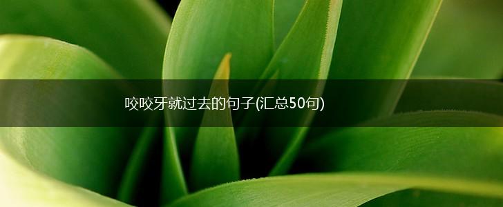 咬咬牙就过去的句子(汇总50句),第1张