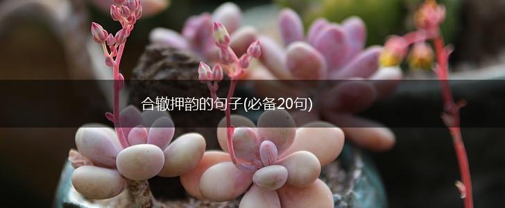 合辙押韵的句子(必备20句),第1张