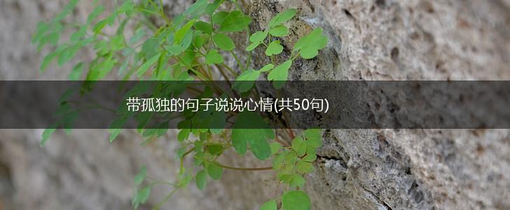 带孤独的句子说说心情(共50句),第1张