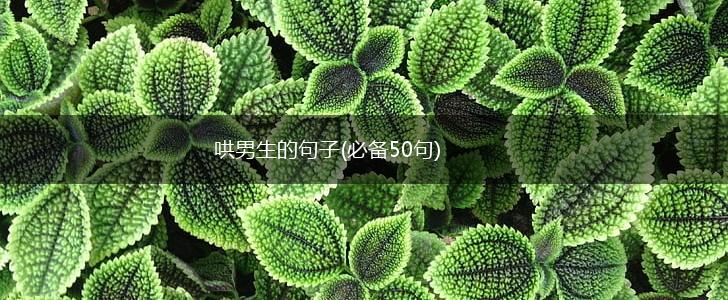 哄男生的句子(必备50句),第1张