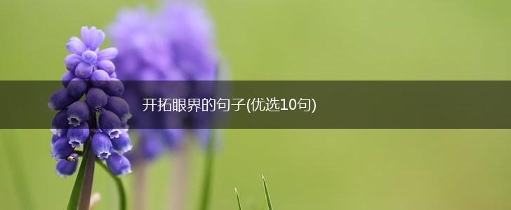 开拓眼界的句子(优选10句),第1张