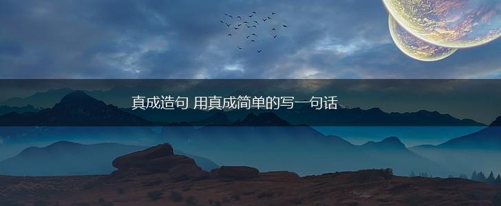 真成造句 用真成简单的写一句话,第1张