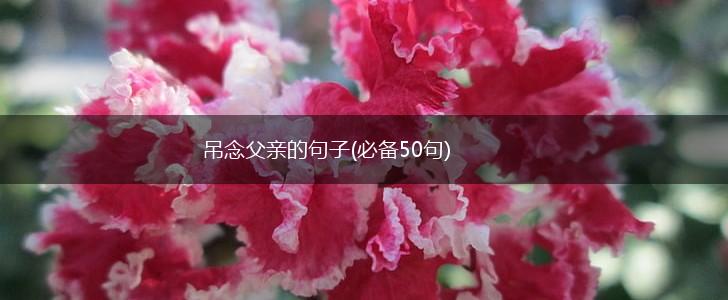吊念父亲的句子(必备50句),第1张