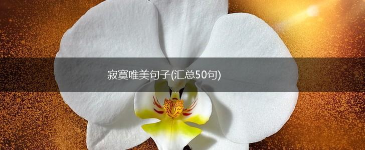 寂寞唯美句子(汇总50句),第1张