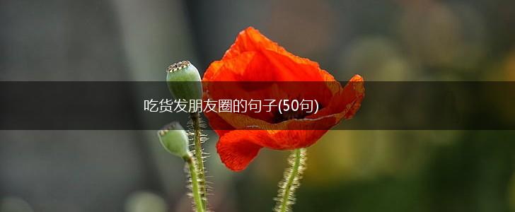 吃货发朋友圈的句子(50句),第1张
