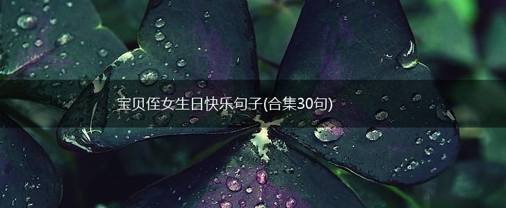 宝贝侄女生日快乐句子(合集30句),第1张