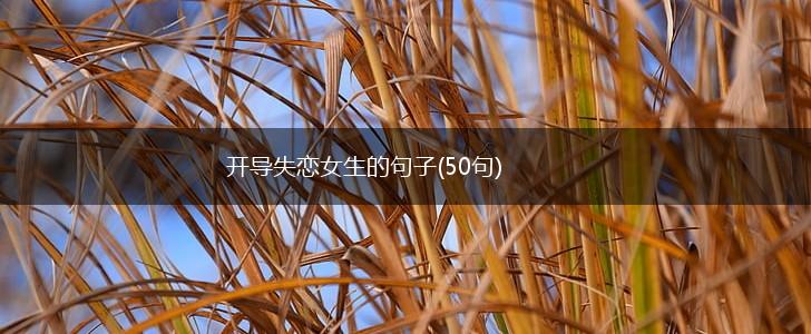 开导失恋女生的句子(50句),第1张