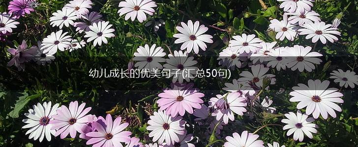 幼儿成长的优美句子(汇总50句),第1张