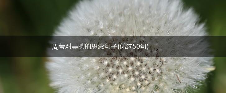 周莹对吴聘的思念句子(优选50句),第1张