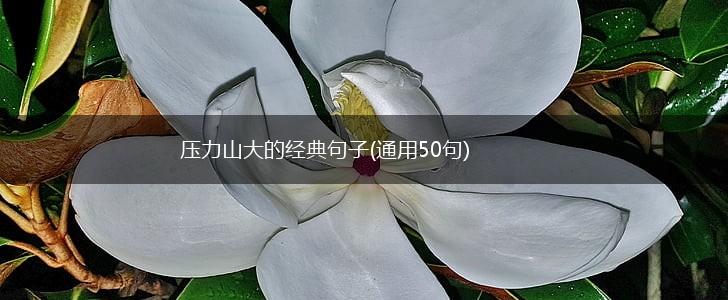 压力山大的经典句子(通用50句),第1张