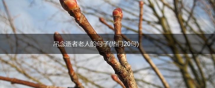 吊念逝者老人的句子(热门20句),第1张